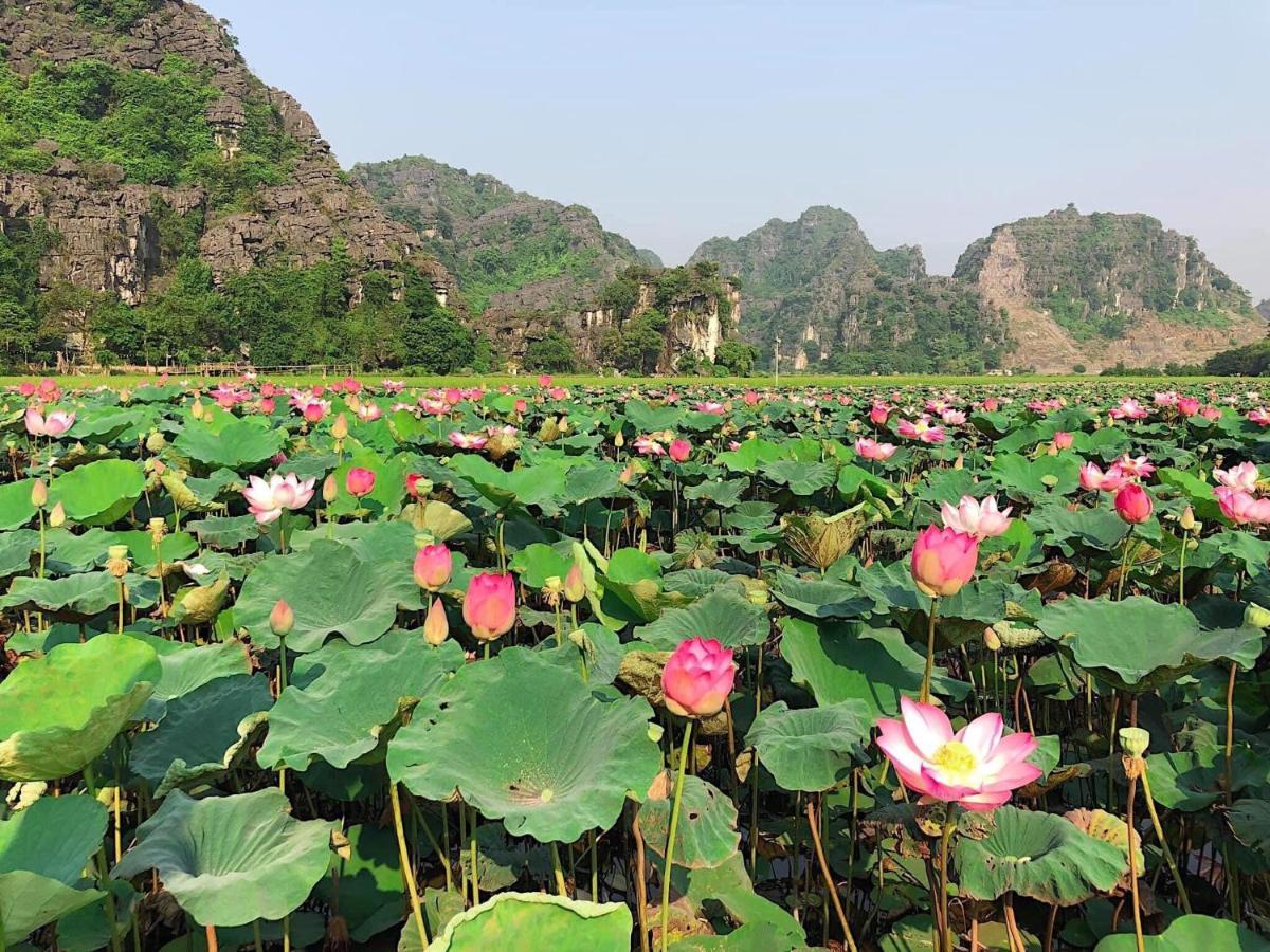 Tam Coc Heart Homestay Ninh Binh Zewnętrze zdjęcie